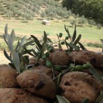 Pane alle olive fatto in casa