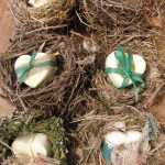sapone nel nido